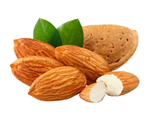 Bontosa almond Fruit